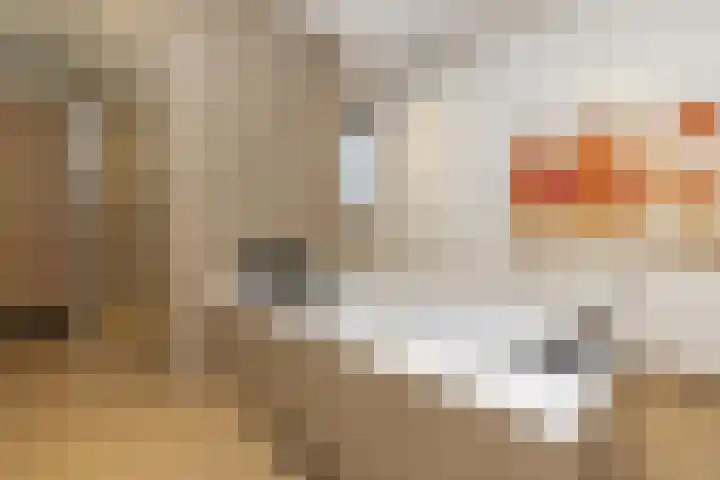 Eikenlaan 12 Sint-Michielsgestel thumbnail 30