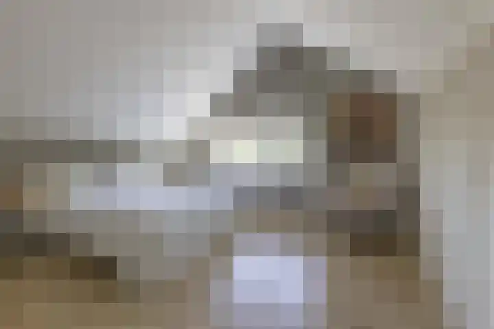 Eikenlaan 12 Sint-Michielsgestel thumbnail 32