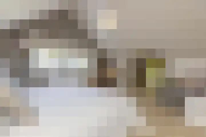 Eikenlaan 12 Sint-Michielsgestel thumbnail 34
