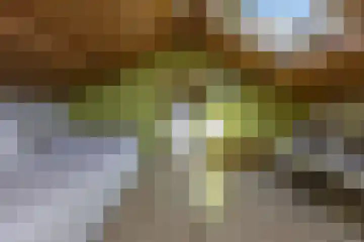 Eikenlaan 12 Sint-Michielsgestel thumbnail 36