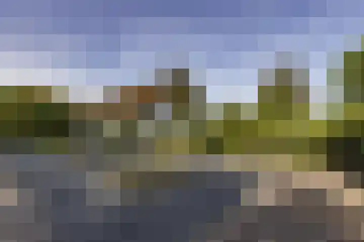 Eikenlaan 12 Sint-Michielsgestel thumbnail 43