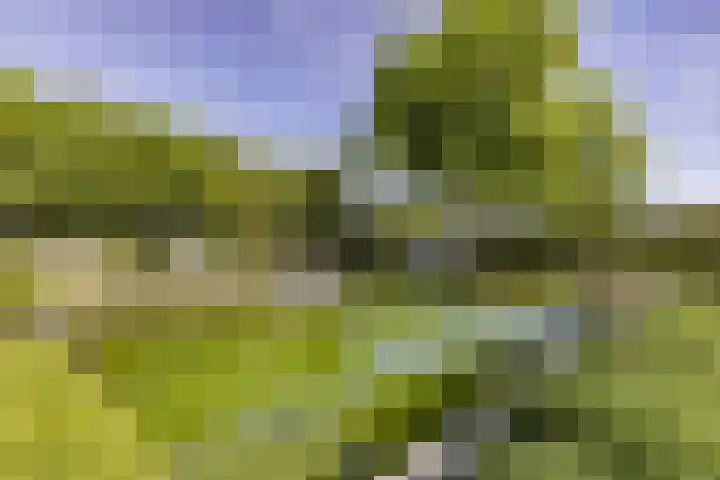 Eikenlaan 12 Sint-Michielsgestel thumbnail 44