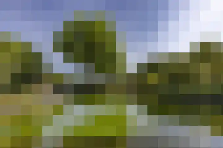 Eikenlaan 12 Sint-Michielsgestel thumbnail 46