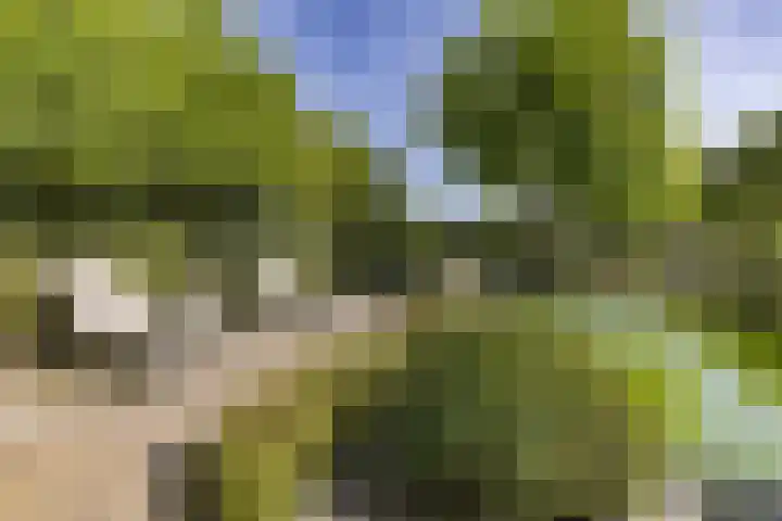 Eikenlaan 12 Sint-Michielsgestel thumbnail 47