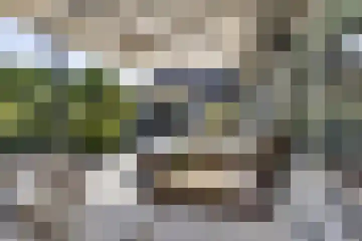 Eikenlaan 12 Sint-Michielsgestel thumbnail 48