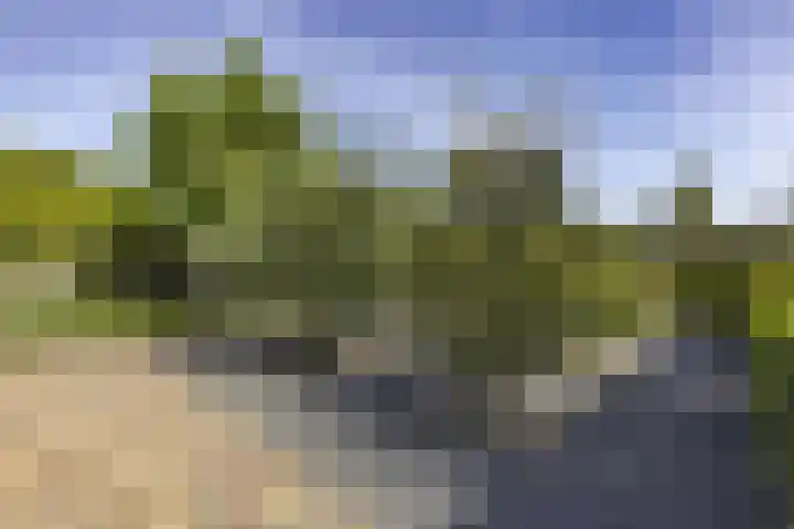 Eikenlaan 12 Sint-Michielsgestel thumbnail 51