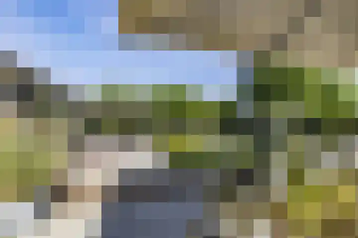 Eikenlaan 12 Sint-Michielsgestel thumbnail 52