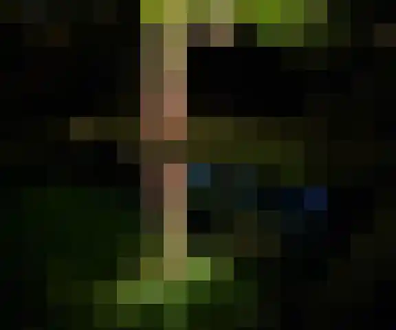 Eikenlaan 12 Sint-Michielsgestel thumbnail 54