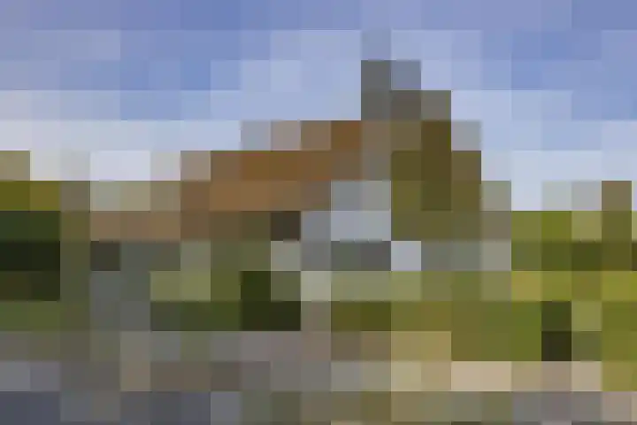 Eikenlaan 12 Sint-Michielsgestel thumbnail 58