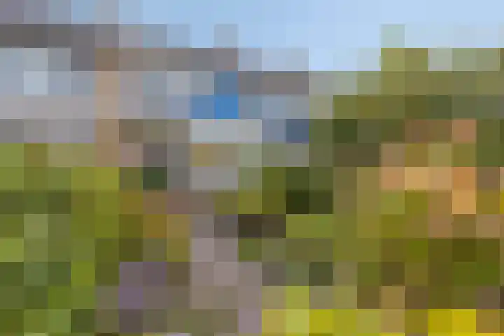 Eikenlaan 121 Scherpenzeel
