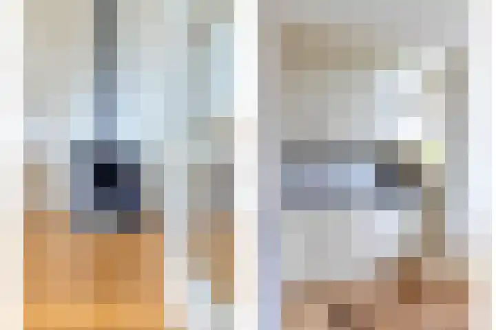 Eikenlaan 121 Scherpenzeel thumbnail 12