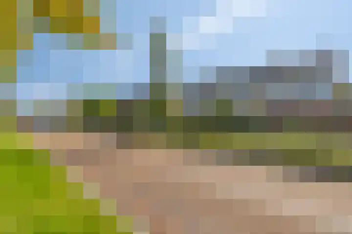 Eikenlaan 121 Scherpenzeel foto 2