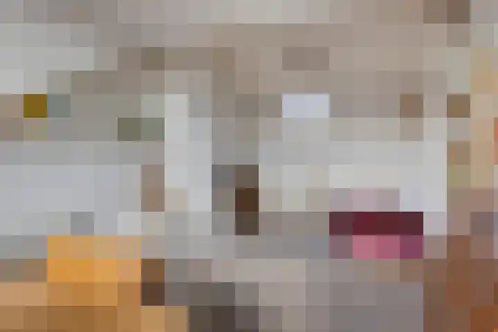 Eikenlaan 121 Scherpenzeel thumbnail 27