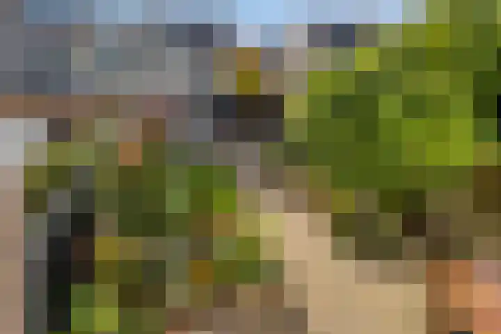 Eikenlaan 121 Scherpenzeel thumbnail 28
