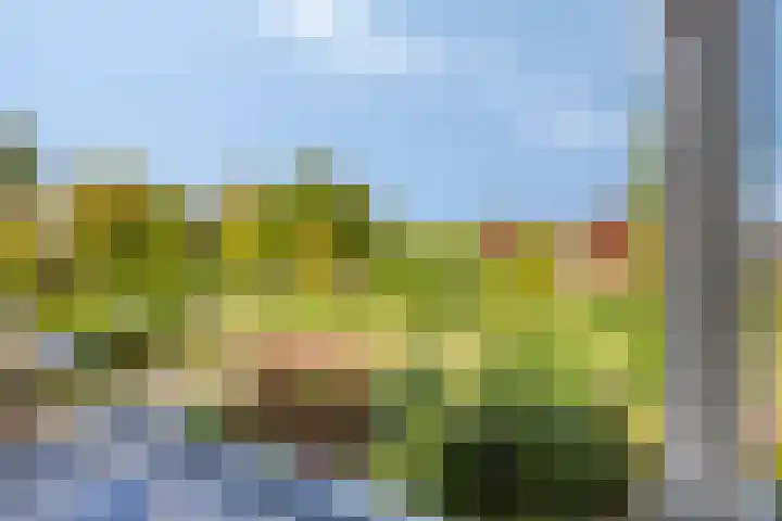 Eikenlaan 121 Scherpenzeel thumbnail 29