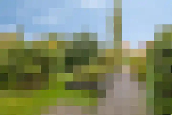 Eikenlaan 121 Scherpenzeel thumbnail 30