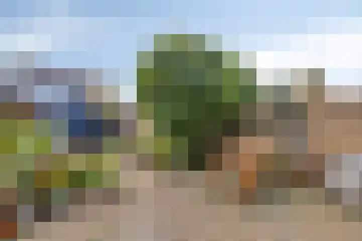 Eikenlaan 121 Scherpenzeel thumbnail 31