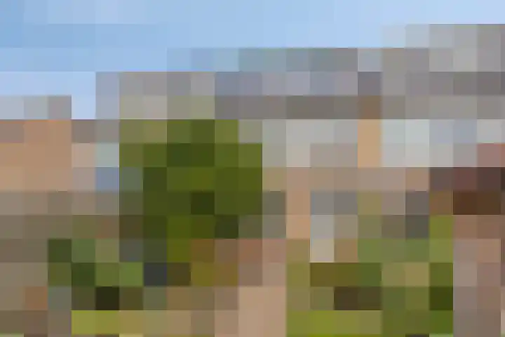 Eikenlaan 121 Scherpenzeel thumbnail 34