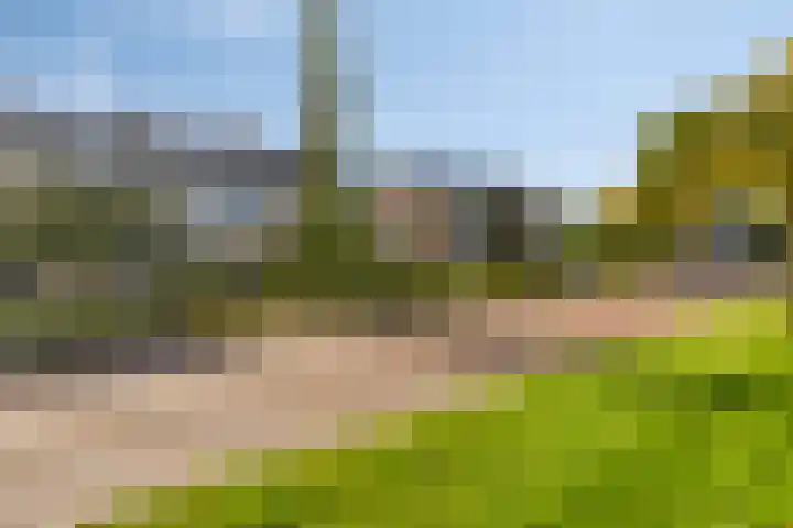 Eikenlaan 121 Scherpenzeel thumbnail 38