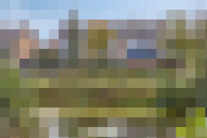 Eikenlaan 121 Scherpenzeel thumbnail 39
