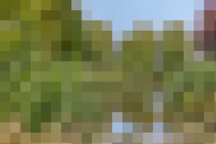 Eikenlaan 121 Scherpenzeel thumbnail 40