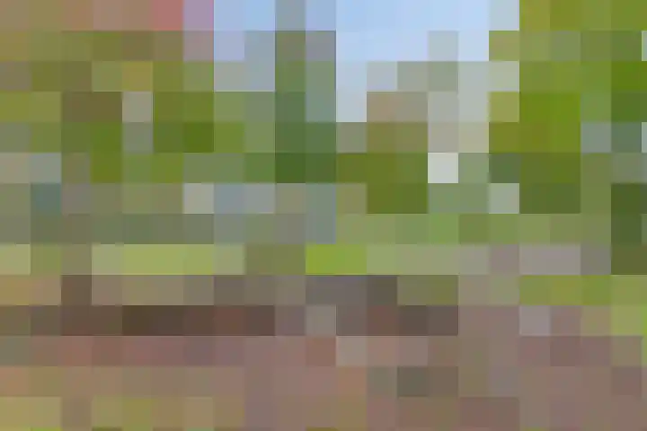 Eikenlaan 121 Scherpenzeel thumbnail 41