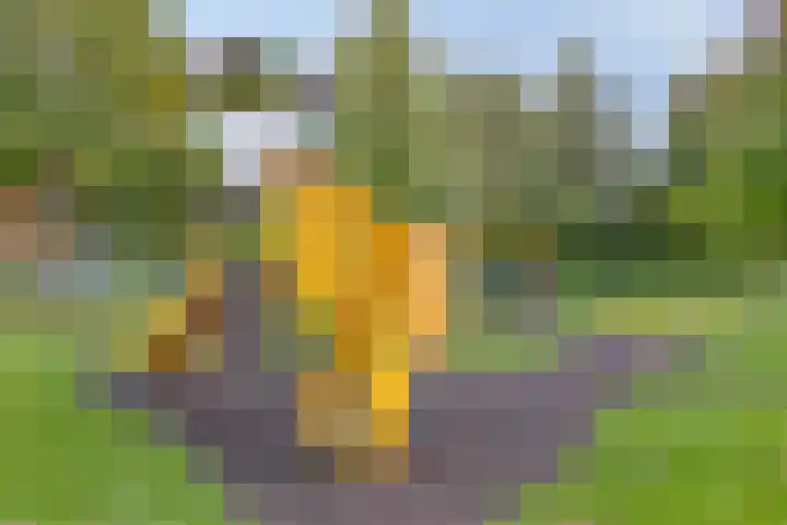 Eikenlaan 121 Scherpenzeel thumbnail 42