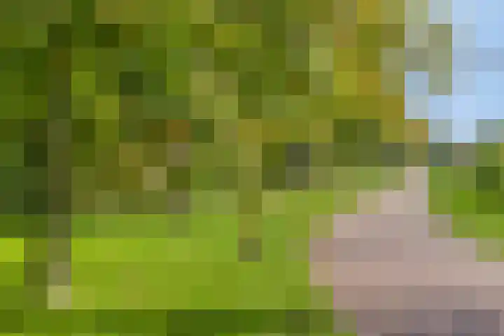 Eikenlaan 121 Scherpenzeel thumbnail 43