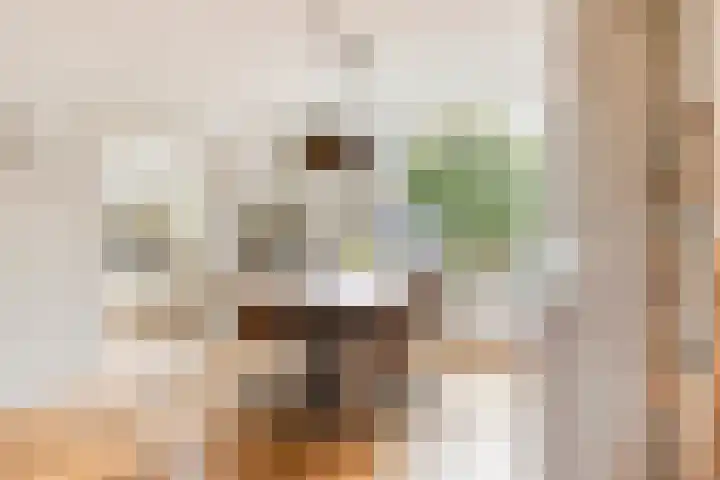 Eikenlaan 121 Scherpenzeel thumbnail 9