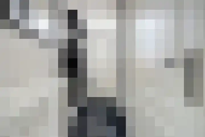 Eikenlaan 125 Oosterhout thumbnail 10