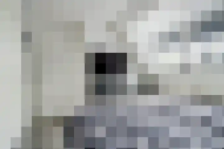 Eikenlaan 125 Oosterhout thumbnail 18