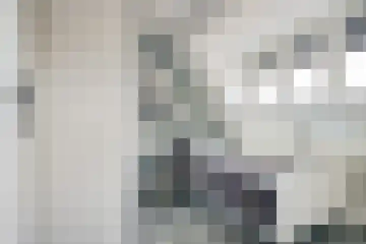 Eikenlaan 125 Oosterhout thumbnail 19