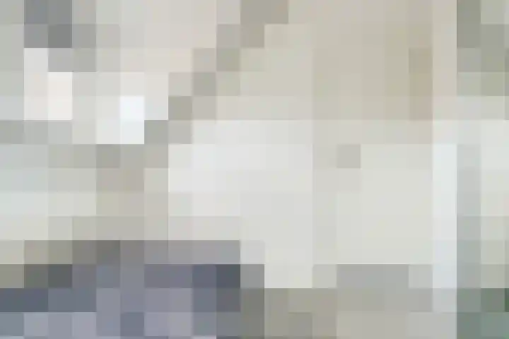 Eikenlaan 125 Oosterhout thumbnail 20