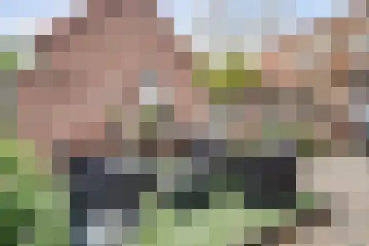 Eikenlaan 125 Oosterhout thumbnail 30