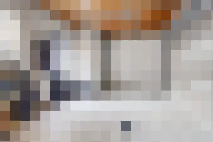 Eikenlaan 125 Oosterhout thumbnail 7
