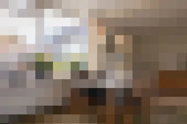 Eikenlaan 13 Garderen thumbnail 15