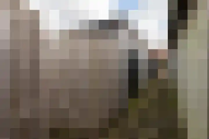 Eikenlaan 13 Garderen thumbnail 33