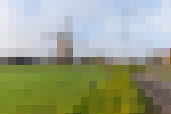 Eikenlaan 13 Garderen thumbnail 34
