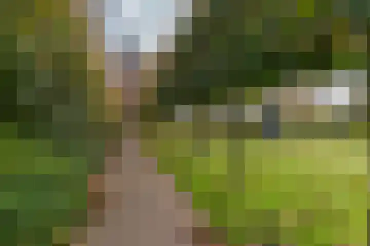 Eikenlaan 13 Garderen thumbnail 35
