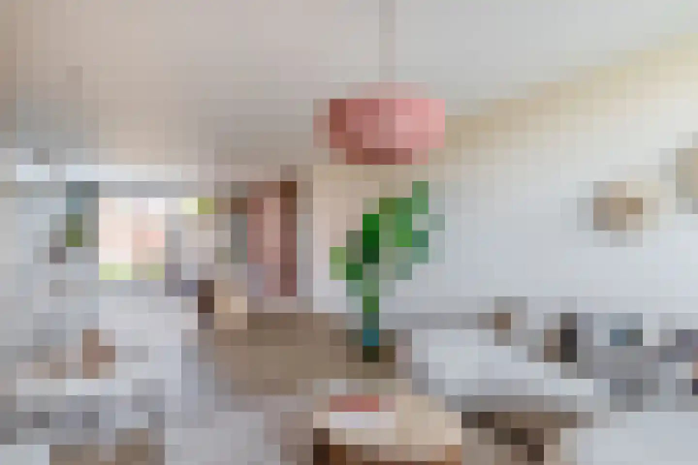 Eikenlaan 13 Liessel thumbnail 16