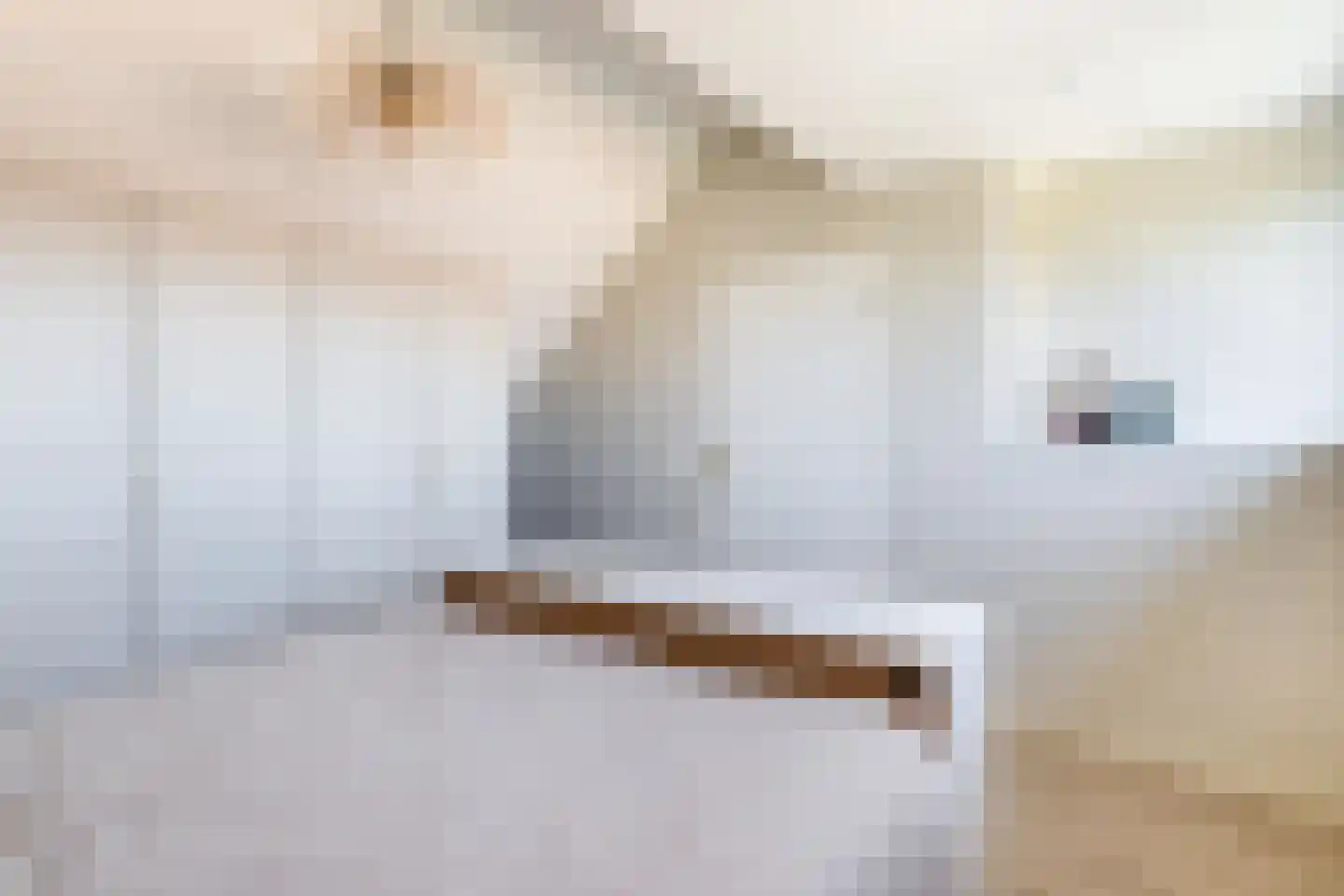 Eikenlaan 13 Liessel thumbnail 49