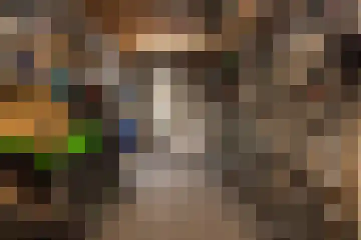Eikenlaan 13 Lisse thumbnail 11