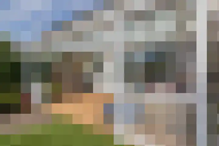 Eikenlaan 13 Lisse thumbnail 23