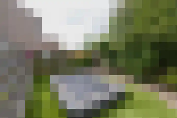 Eikenlaan 13 Lisse thumbnail 24