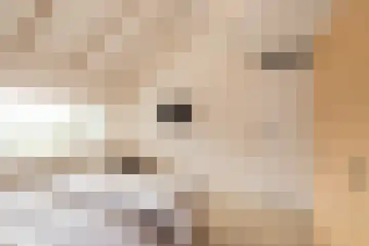 Eikenlaan 13 Lisse thumbnail 31