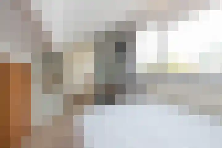Eikenlaan 13 Lisse thumbnail 38