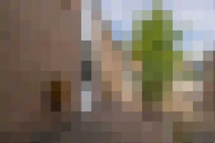 Eikenlaan 13 Lisse thumbnail 6