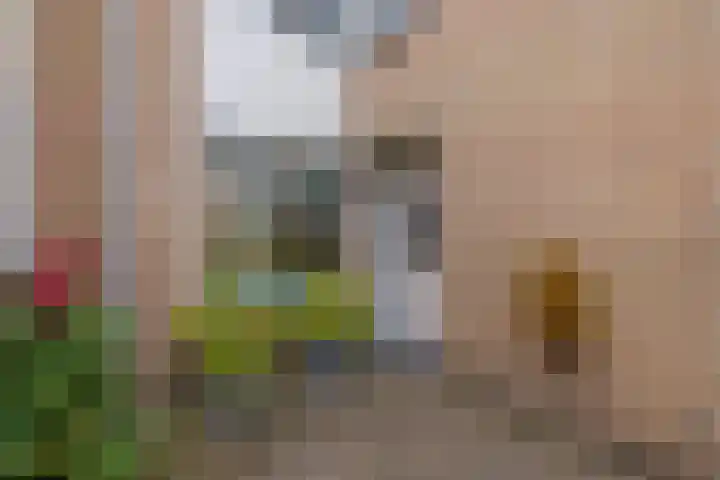 Eikenlaan 13 Lisse thumbnail 7