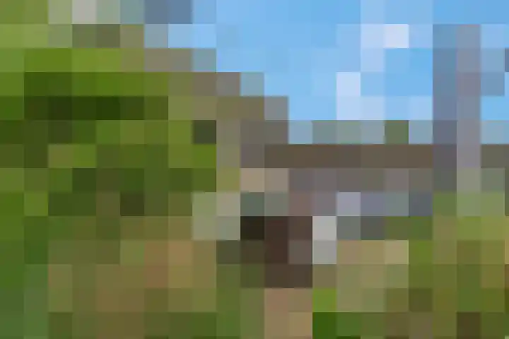 Eikenlaan 13 Rhenen thumbnail 24