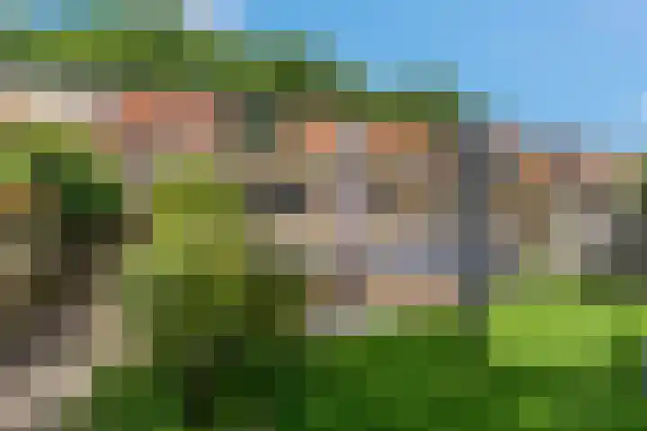 Eikenlaan 13 Rhenen thumbnail 25
